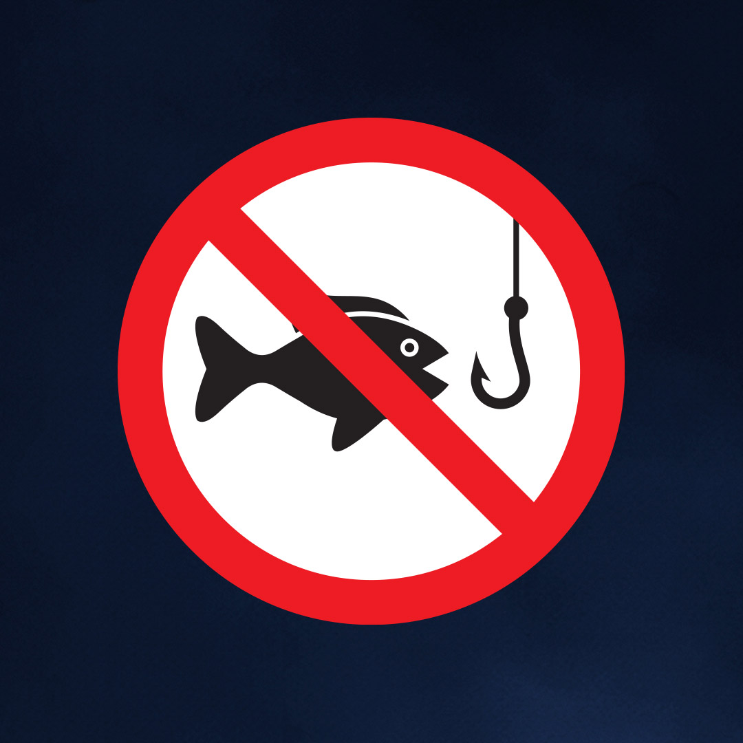 Defeso - ABIPESCA