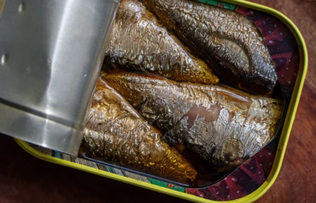 Indústria de pescado vê isenção sobre sardinha como medida “nefasta”, que pode inviabilizar produção