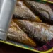 Sardinha-conserva