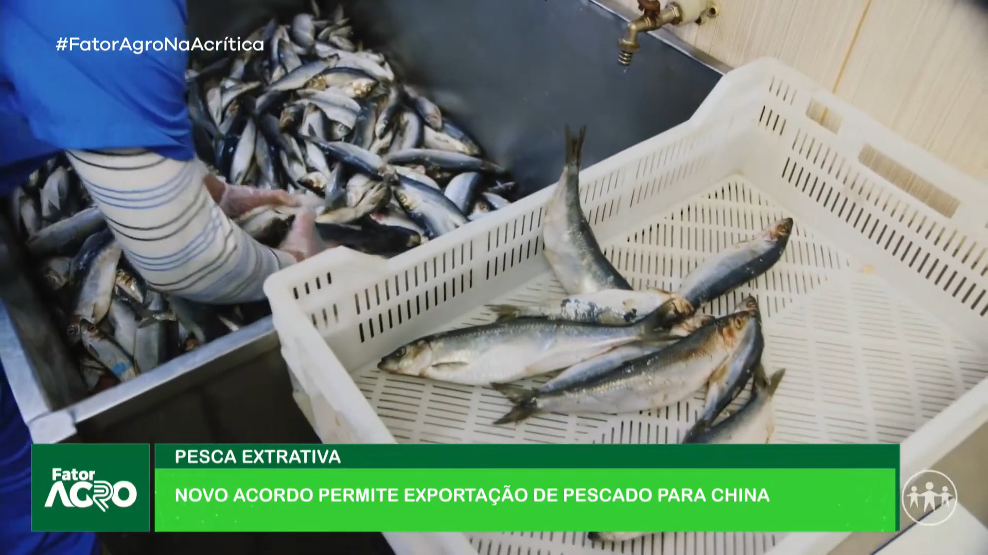 Pesca extrativa - novo acordo permite exportação de pescado para a China