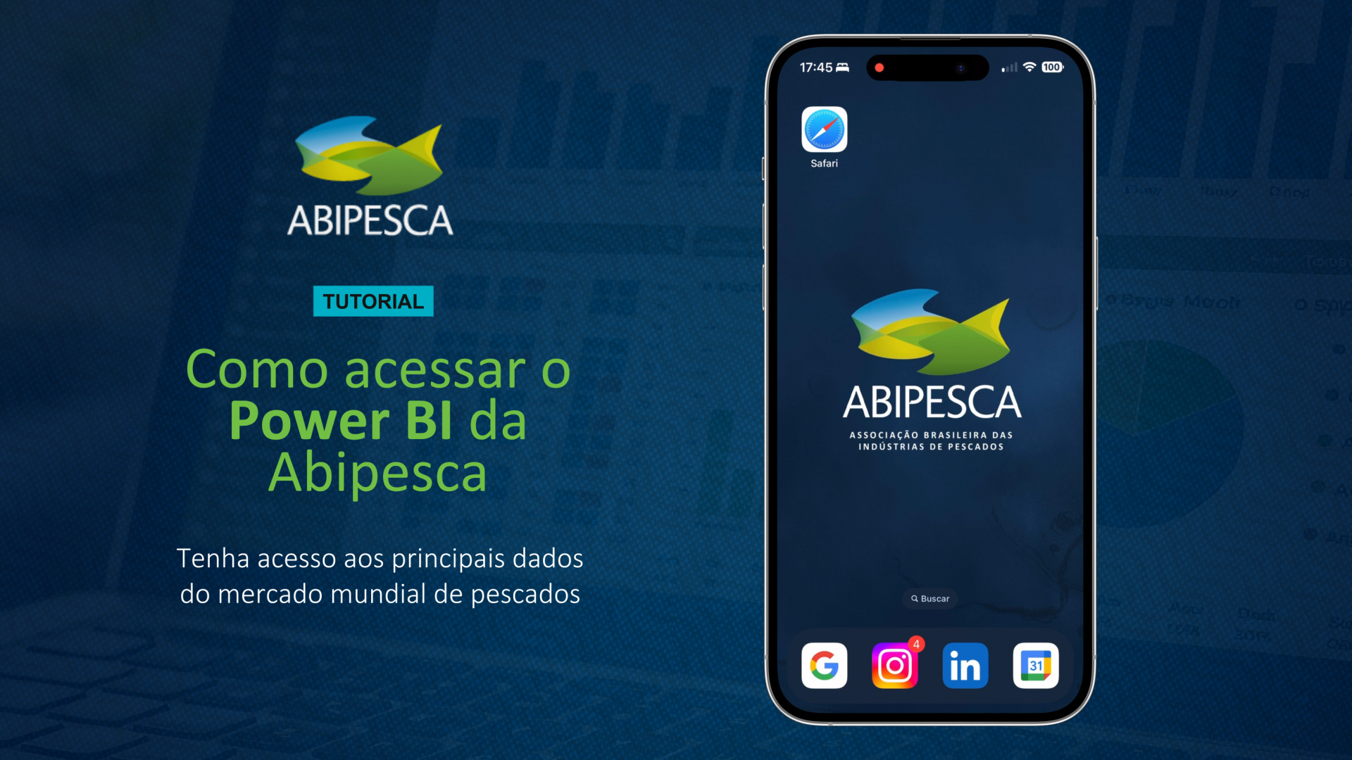 Tutorial Abipesca - Acesso ao Business intelligence (BI)